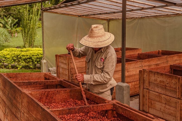 ethically sourced cocoa powder