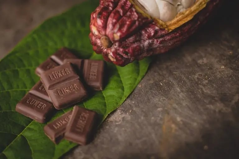 Luker-chocolate-fine-flavour-cocoa-products