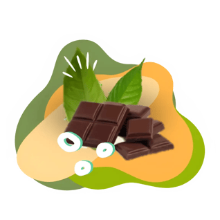 NO ADDED SUGAR 8G CHOCOLATE BARS