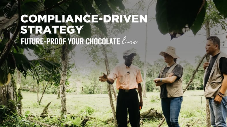 Regulatorio-compliance-for-chocolate-brands