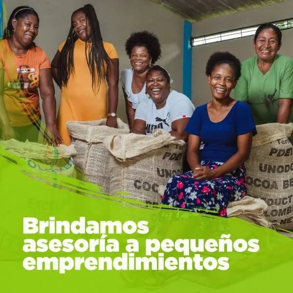 ayudas-a-pequenos-productores-de-cacao