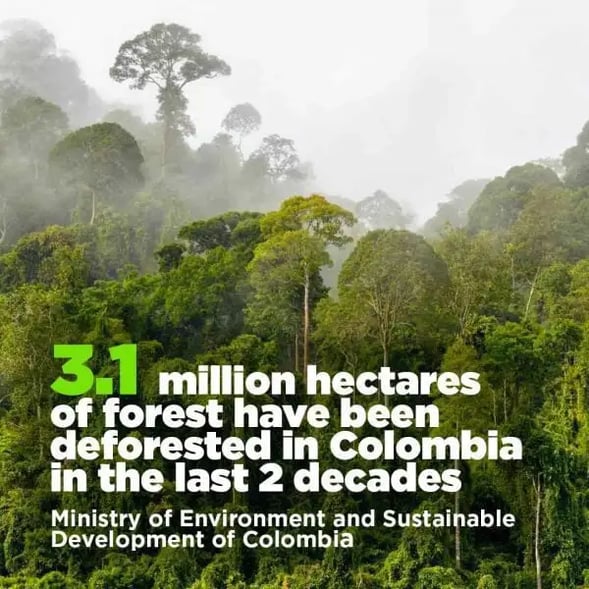 deforestion-in-colombia