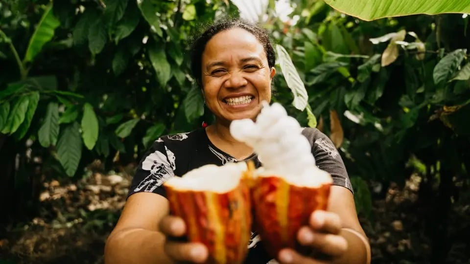 The Chocolate Dream by Luker Chocolate supporting cocoa-growing communities in Colombia