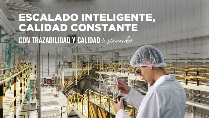 escalado-inteligente-produccion-chocolate