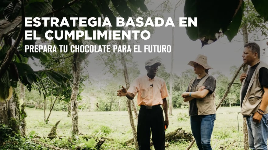 estategias-chocolate