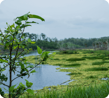 luker-blog-colombian-cacao-farms-landscape