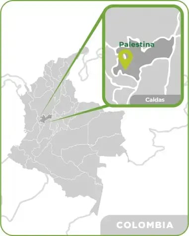 luker-blog-palestina-caldas-map