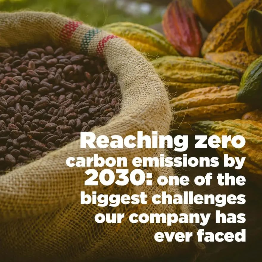 net-zero-decarbonisation-in-cocoa-supply-chains-1024x1024-1