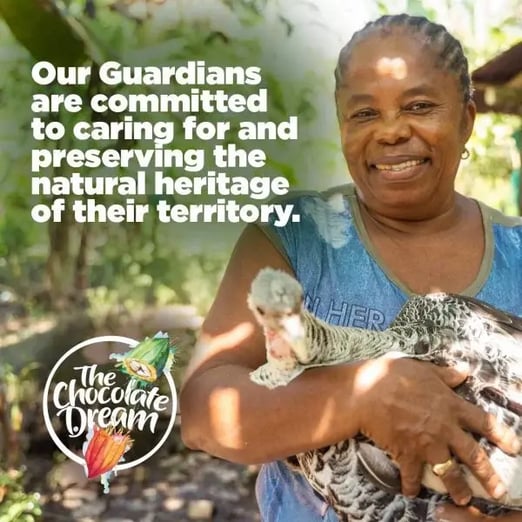 preserving-heritage-with-cocoa-production