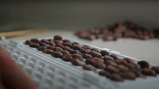 r&d-flavour-profile-blog