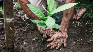 Our Sustainability Report 2024 - 2025