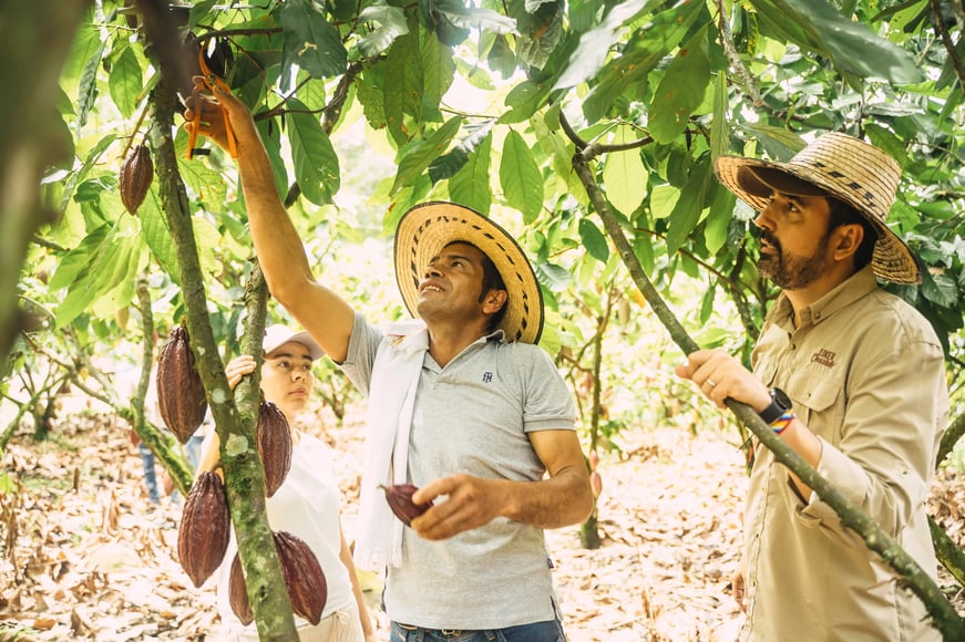 Granja Luker y Royce-farmer-learning