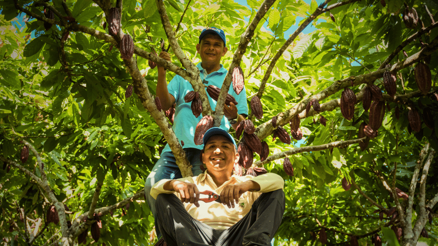 luker chocolate farmers