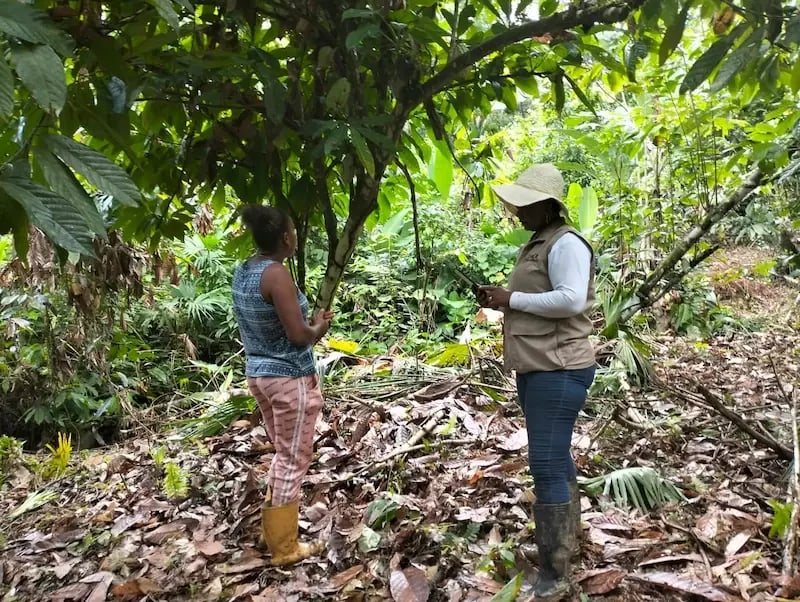 technicians-from-Luker-visited-farms-in-Tumaco