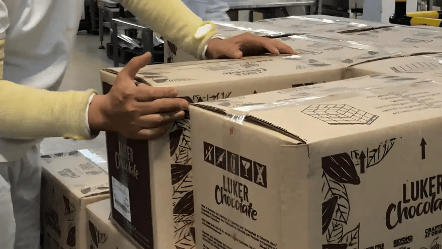 variables-chocolate-turnkey-supplier