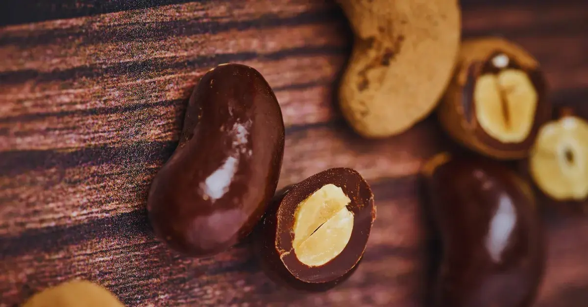 Formulaciones de chocolate con proteína
