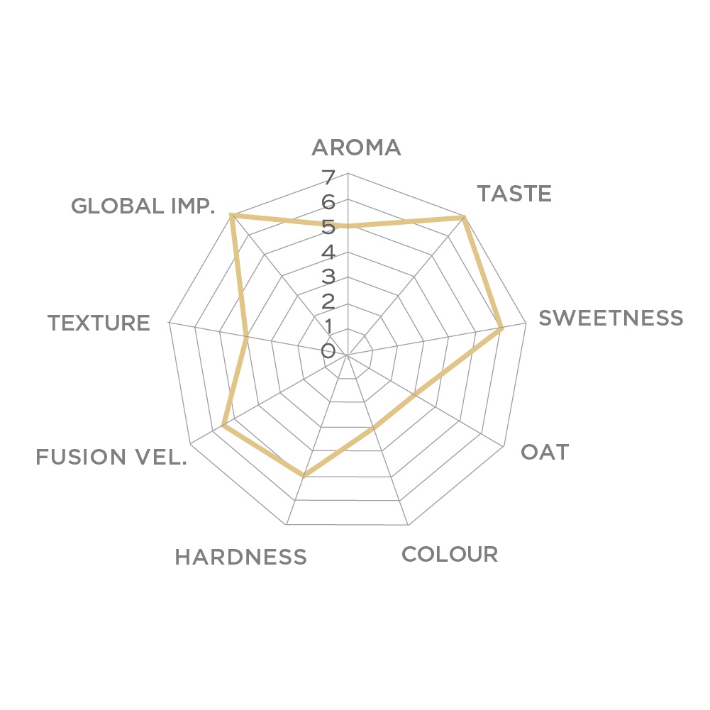 balance-oat-milk-36-5-sensory-profile