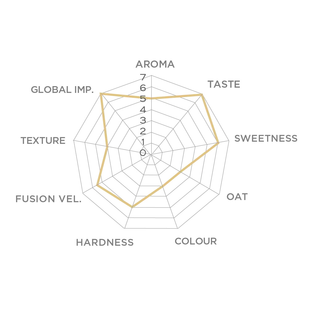 balance-oat-milk-36-5-sensory-profile