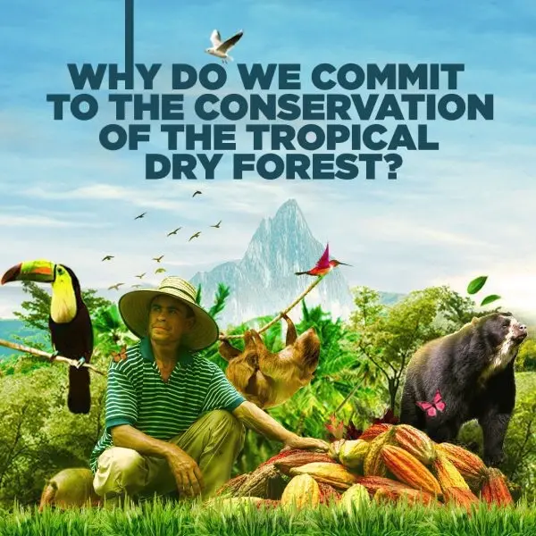 conservation of the tropical dry forest