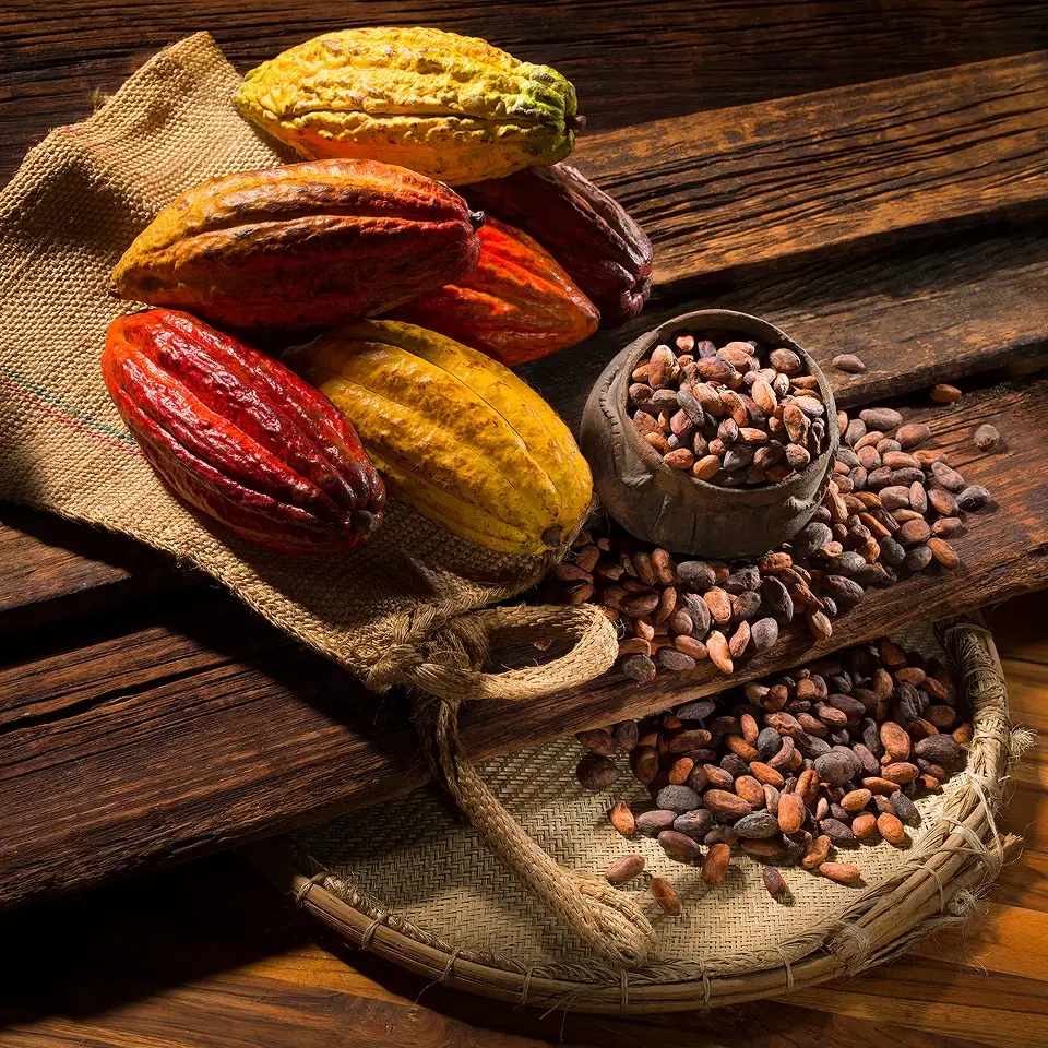 define-your-cocoa-sourcing