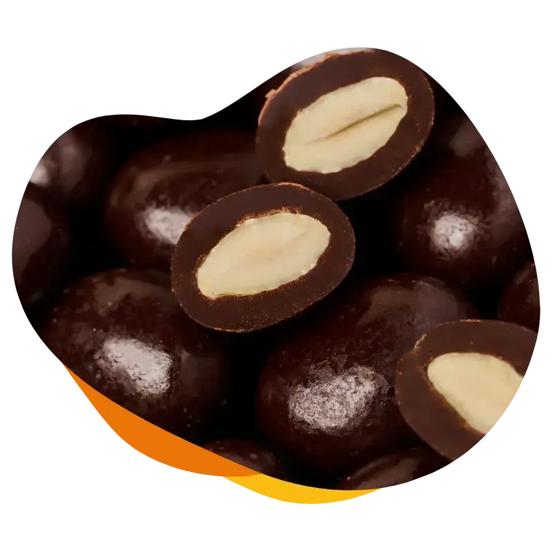 dragees-nuts-protein-chocolate-manufacturer dragees-nuts-protein-chocolate-manufacturer