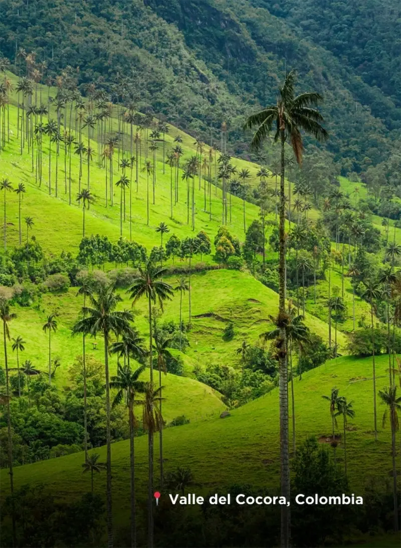 single-country-colombia