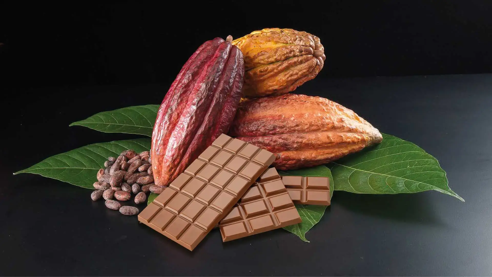 Dark Chocolate Covered Cocoa Nibs