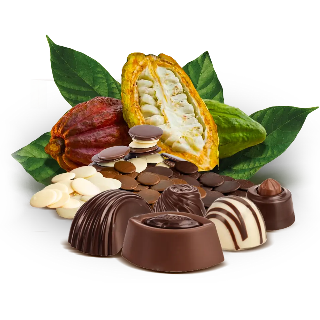 source-chocolate-sustainably