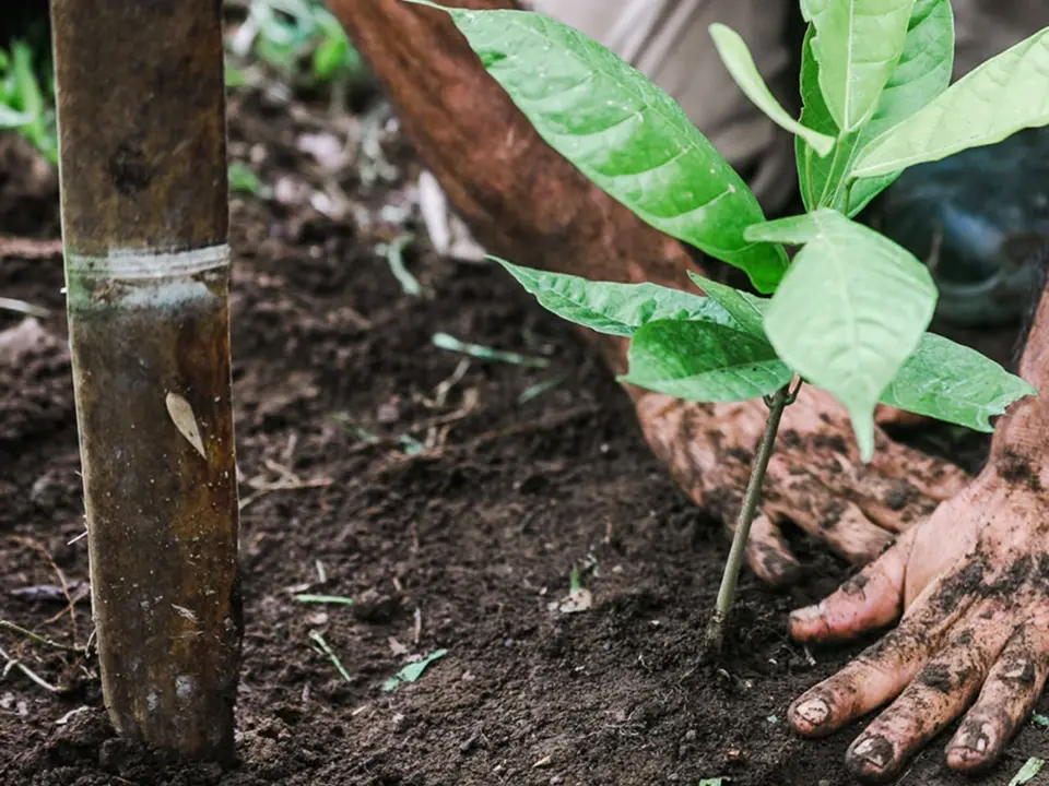 sustainability-report-2026