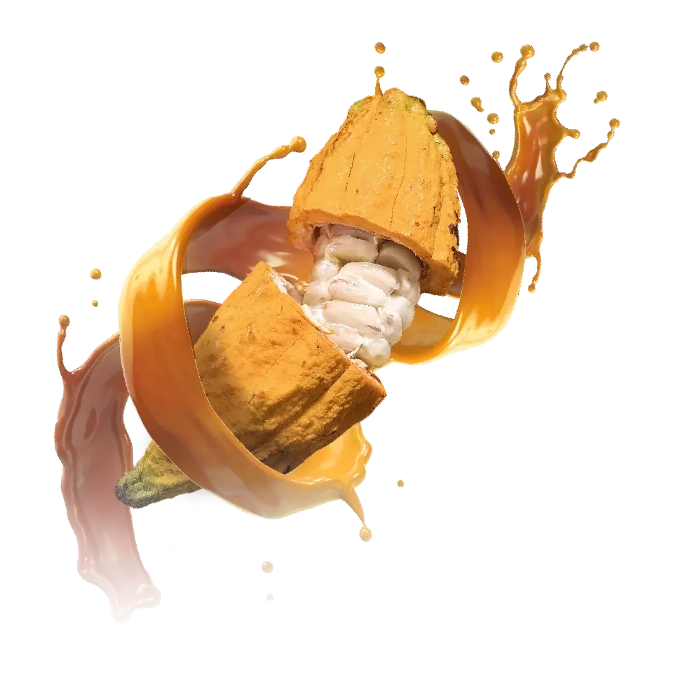 upia-01 upia-01