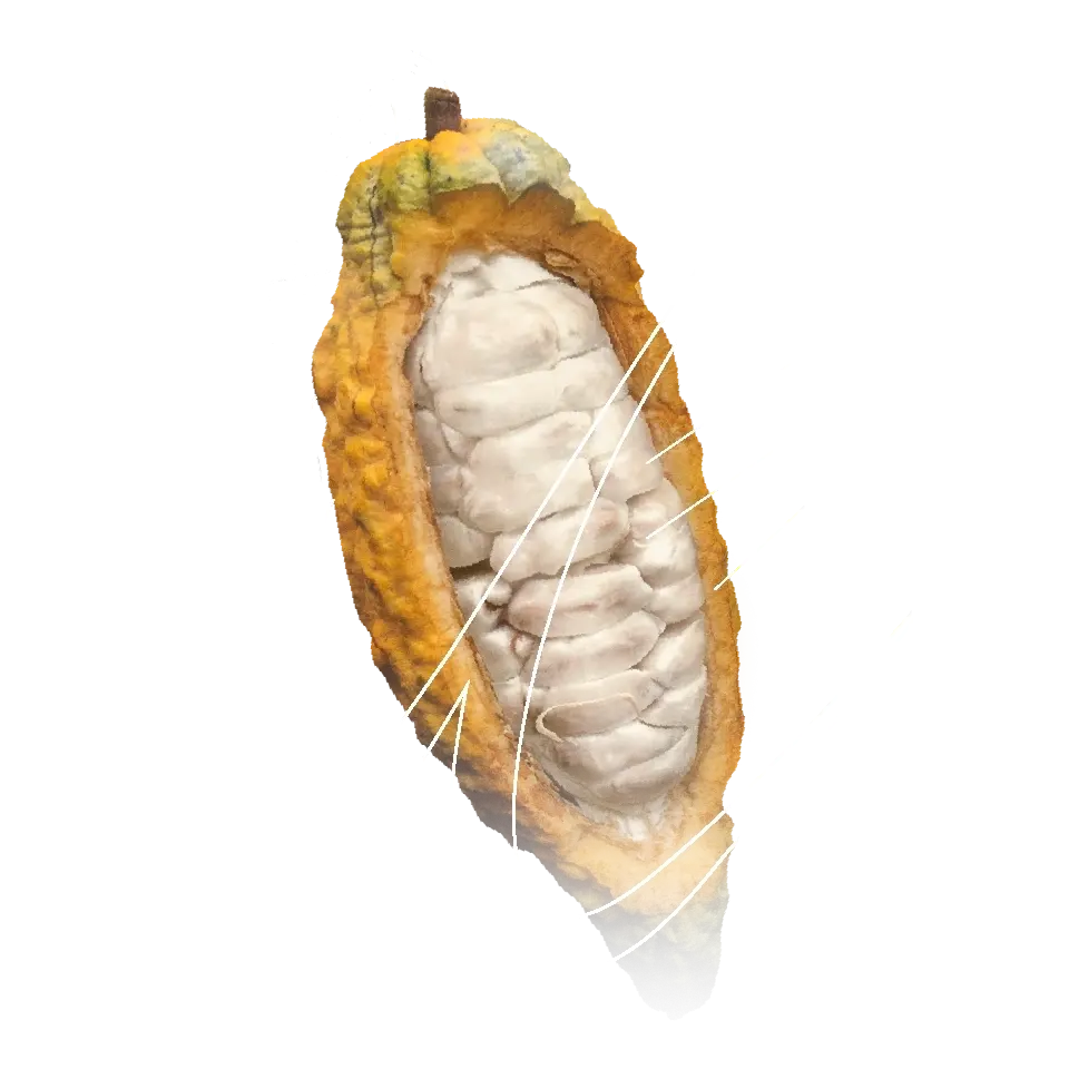 upia-02